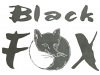ИП "Black Fox" Меховое ателье